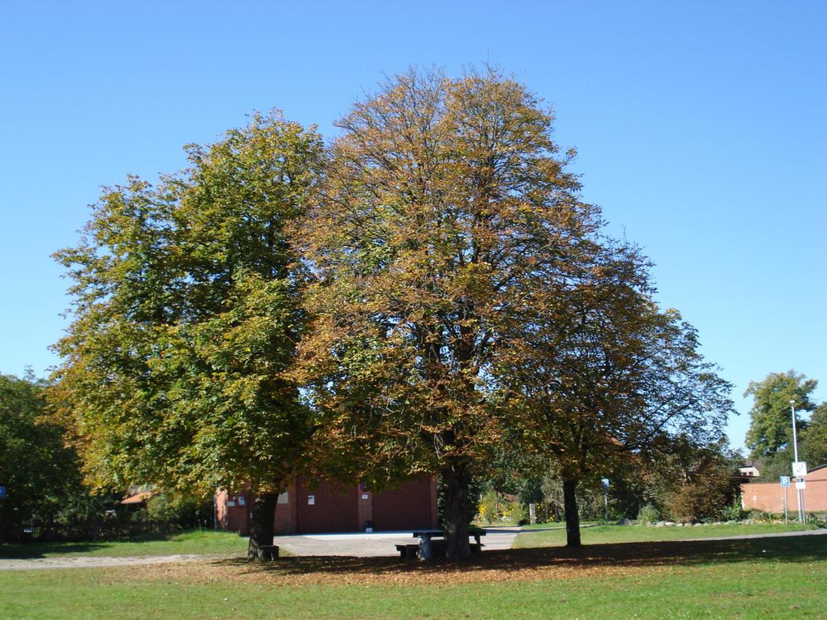 De Luet Ferienhof Jameln Esterno foto