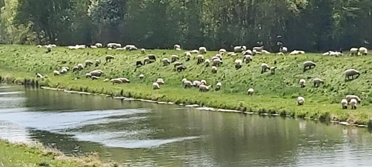 De Luet Ferienhof Jameln Esterno foto