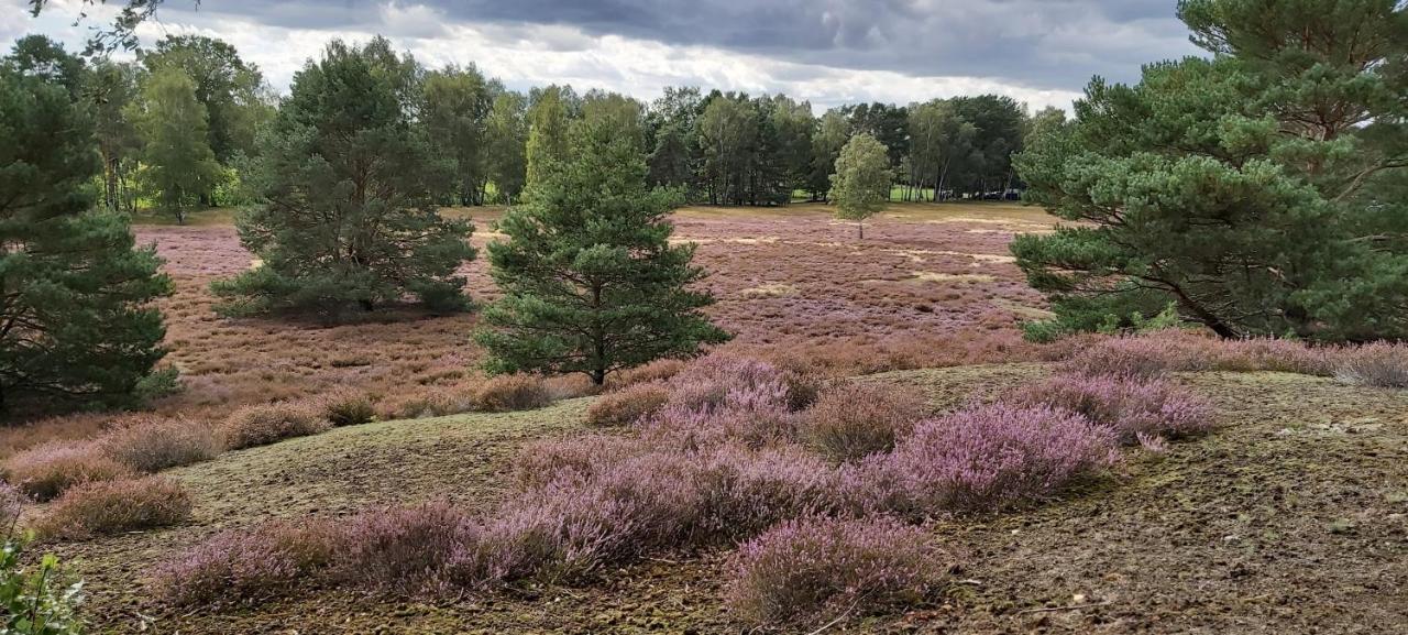 De Luet Ferienhof Jameln Esterno foto