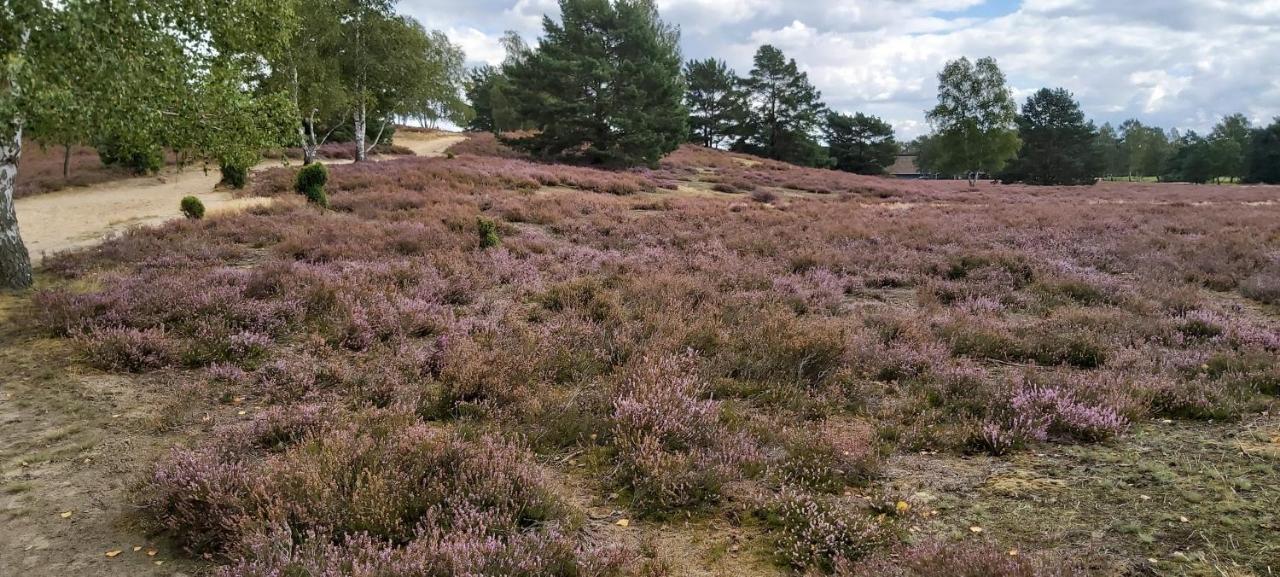 De Luet Ferienhof Jameln Esterno foto