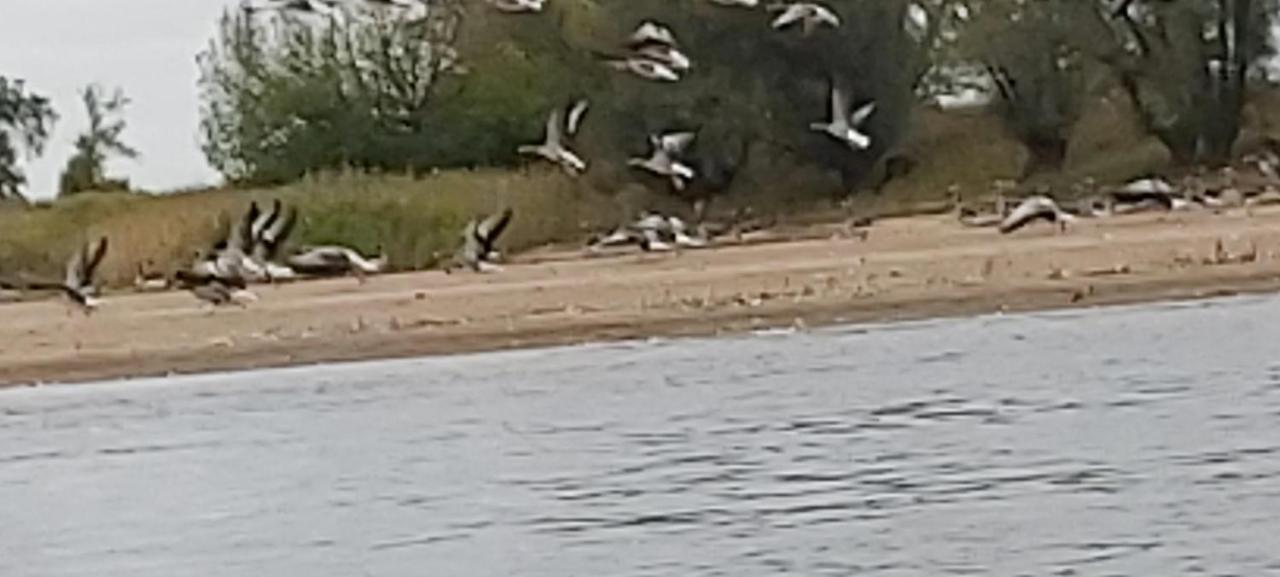 De Luet Ferienhof Jameln Esterno foto