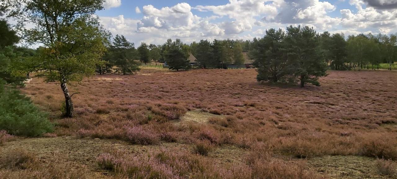 De Luet Ferienhof Jameln Esterno foto